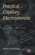 Practical Capillary Electrophoresis