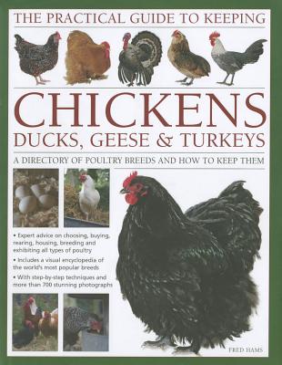 Practical Guide to Keeping Chickens, Duck, Geese & Turkeys - Hams, Fred