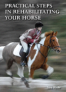 Practical Steps in Rehabilitating Your Horse