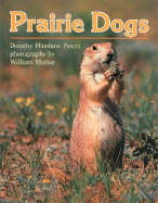 Prairie Dogs