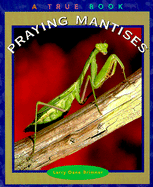 Praying Mantises