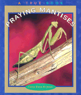 Praying Mantises