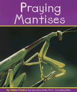 Praying Mantises