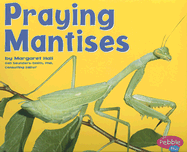 Praying Mantises