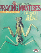 Praying Mantises