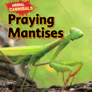 Praying Mantises