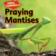 Praying Mantises
