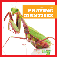 Praying Mantises