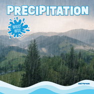 Precipitation