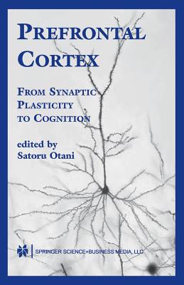 Prefrontal Cortex: From Synaptic Plasticity to Cognition - Otani, Satoru (Editor)