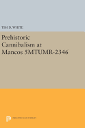 Prehistoric Cannibalism at Mancos 5mtumr-2346
