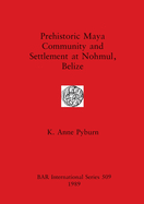Prehistoric Maya Community and Settlement Atnohmul, Belize