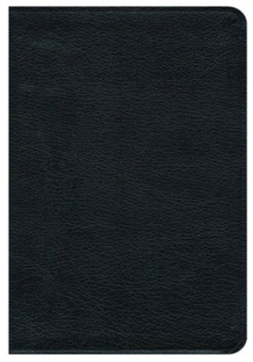 Premium Bible-NRSV - Cokesbury (Creator)
