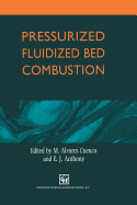 Pressurized Fluidized Bed Combustion