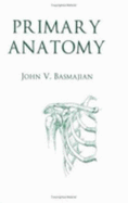 Primary anatomy