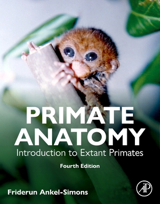 Primate Anatomy: Introduction to Extant Primates - Ankel-Simons, Friderun