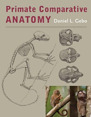 Primate Comparative Anatomy - Gebo, Daniel L