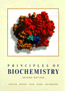 Principles of Biochemistry