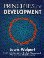 Principles of development