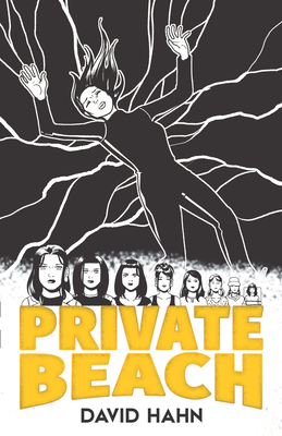 Private Beach - Hahn, David Jerome (Introduction by), and Parker, Jeff (Foreword by)