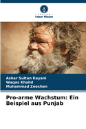 Pro-arme Wachstum: Ein Beispiel aus Punjab
