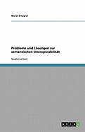 Probleme Und Losungen Zur Semantischen Interoperabilitat