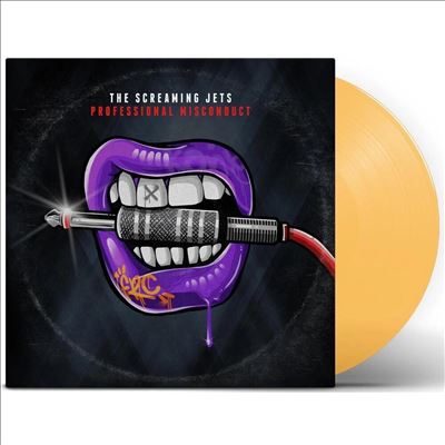 Professional Misconduct - Screaming Jets