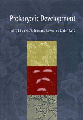 Prokaryotic Development - Brun, Yves V (Editor), and Shimkets, Lawrence J (Editor)