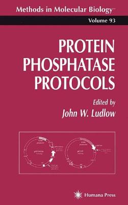 Protein Phosphatase Protocols - Ludlow, John W. (Editor)
