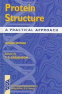 Protein Structure