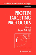 Protein Targeting Protocols - Clegg, Roger A (Editor)