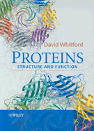 Proteins: Structure and Function