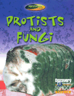 Protists and Fungi