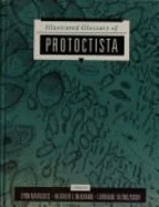 Protoctista Glossary: .
