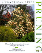 Pruning: A Practical Guide