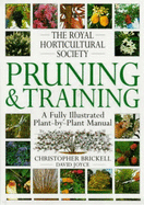 Pruning & training