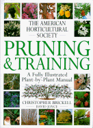 Pruning & Training