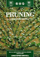 Pruning.