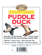 Puddle Duck Identification: Pocket Guide