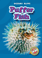 Puffer Fish