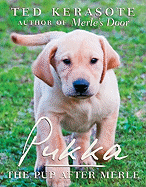 Pukka: The Pup After Merle
