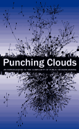 Punching Clouds: An Introduction to the Complexity of Public Decision-Making