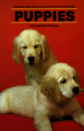Puppies