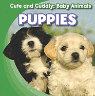 Puppies