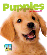 Puppies