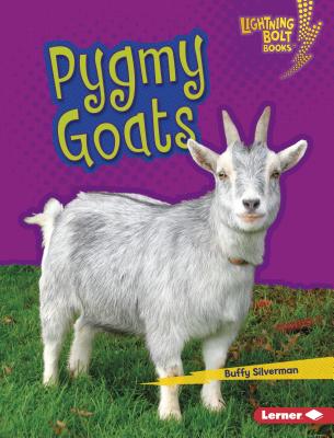 Pygmy Goats - Silverman, Buffy