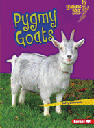 Pygmy Goats