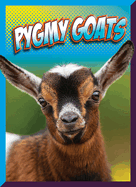 Pygmy Goats