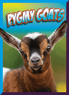 Pygmy Goats