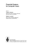 Pyramidal Systems for Computer Vision